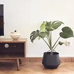 Casas Sul Apartmán Burgau