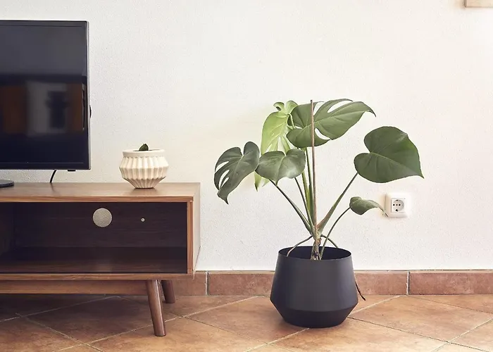 Casas Sul Daire Burgau