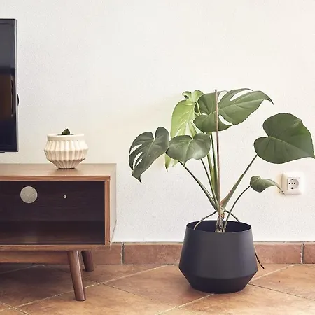 Casas Sul 公寓 布尔高