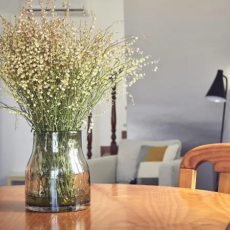 Casas Sul * 布尔高